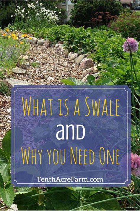 What Is A Permaculture Swale Irrigate The Easy Way Free Download