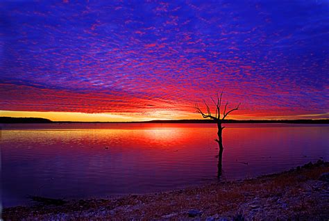 フリー画像自然風景湖の風景樹木の風景夕日夕焼け夕暮れアメリカ風景フリー素材画像素材なら！無料・フリー写真素材のフリーフォト
