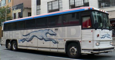 Why Is The Bus Company Spelled Greyhound Instead Of Grayhound Quora