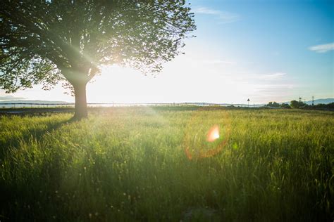 Free Images Landscape Tree Water Nature Horizon Light Cloud