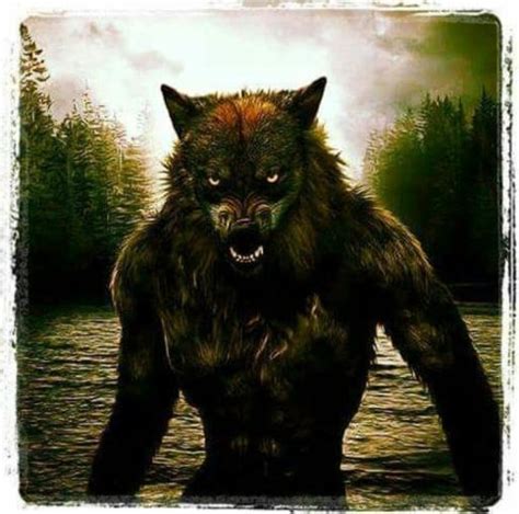 Navajo Skinwalker Legend Urban Legends And Cryptids Amino