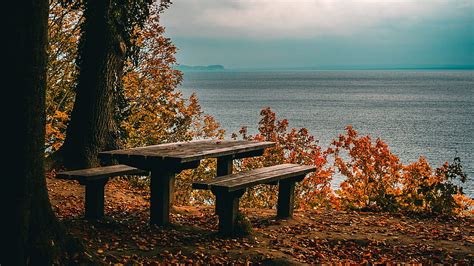 Wood Benches Autumn Trees Ocean White Clouds Blue Sky Autumn Hd