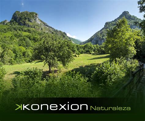 Parque Natural De Redes Asturias España Paisajes Flora Fauna