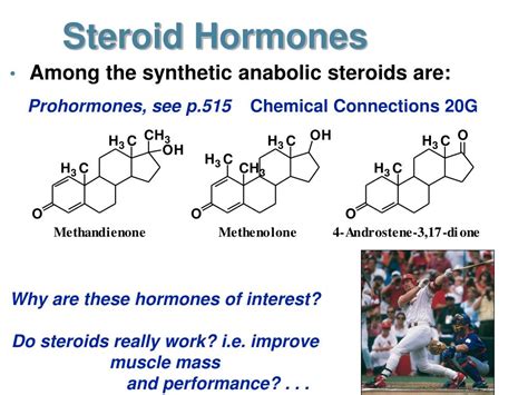 Ppt Steroid Hormones Powerpoint Presentation Free Download Id5620268
