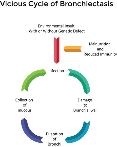 Causes Symptoms Diagnosis And Treatment Of Bronchiectasis Holistic