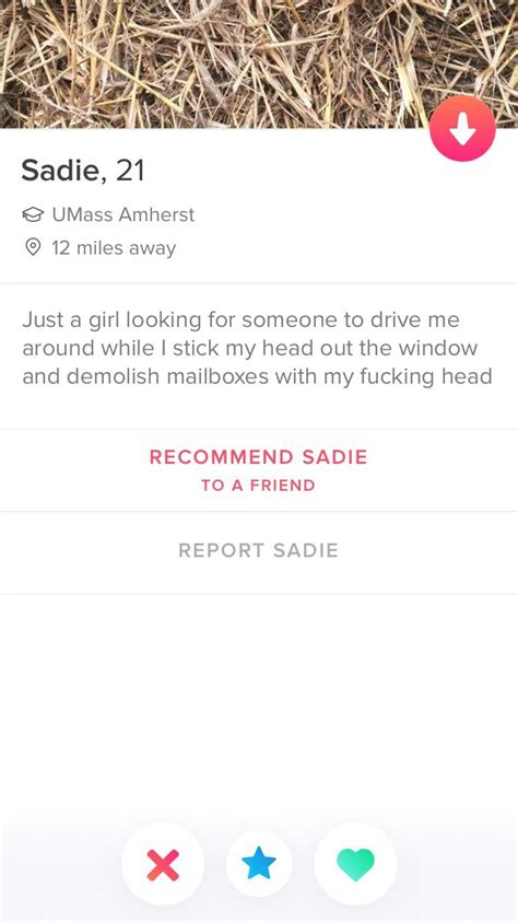 One Of The Funniest Bios Ive Seen In A While Rtinder