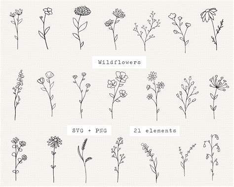 Wildflower SVG Bundle Botanical Elements Floral Line Art Etsy