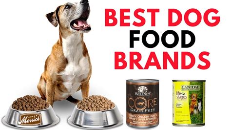 Best Dog Food Brands For A Healthy Life Healthy Dog Foods