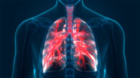 Computerized Tissue Imaging May Help Predict Early Recurrence Of Lung