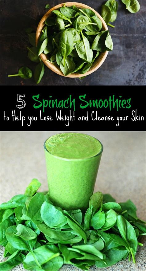 We did not find results for: 5 Spinach Smoothies to Help you Lose Weight and Cleanse ...