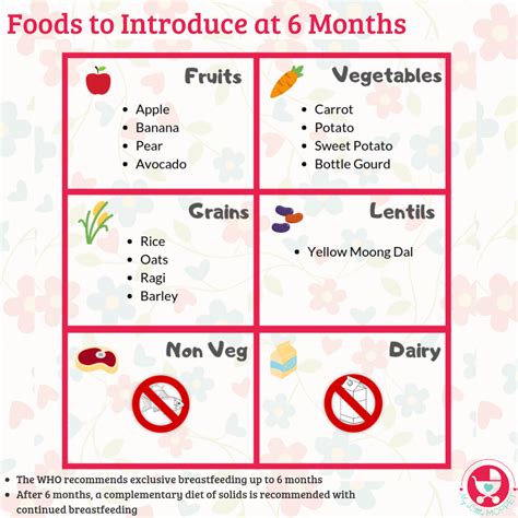 6 Month Old Baby Food Chart