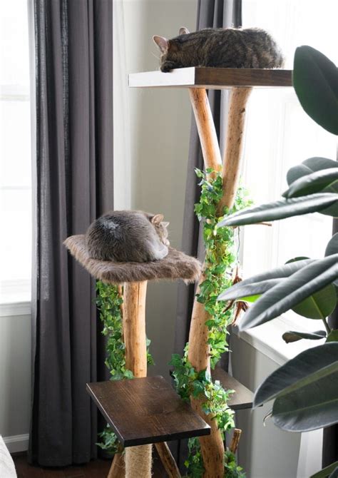 Diy Cat Tree Using A Real Tree Make A Cat Tree From A Natural Branch
