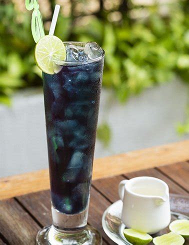 Well known for butterfly tea , its health perks are endless. Surprisingly Amazing Benefits Of Butterfly Pea Tea