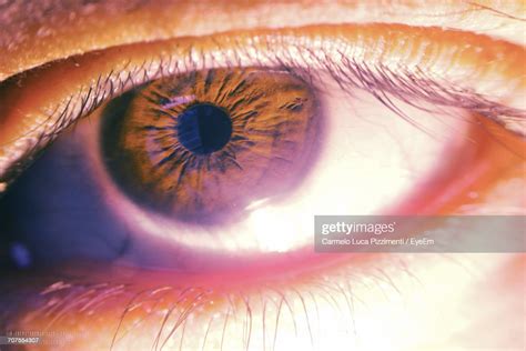 Extreme Closeup Of Human Eye High Res Stock Photo Getty Images