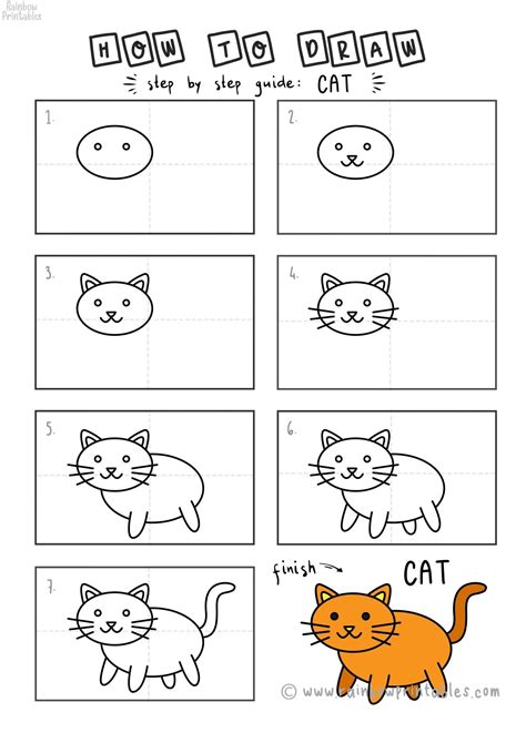 How To Draw A Cat Easy Steps