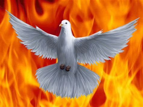 The Power Of The Holy Spirit A Must For Every Believer