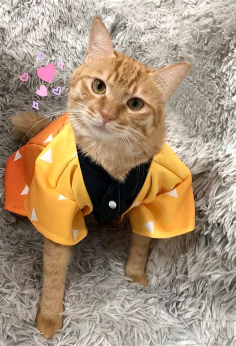 zenitsu cat costume demon slayer kimetsu  yaiba cosplay kimono