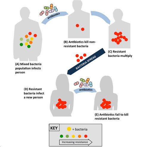 Maybe you would like to learn more about one of these? The Arms Race Between Germs and Medicine: How Superbugs ...