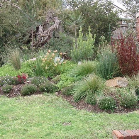 Native Garden Bed Australian Native Garden Australian Garden