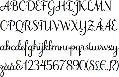 20 Best Calligraphy Fonts
