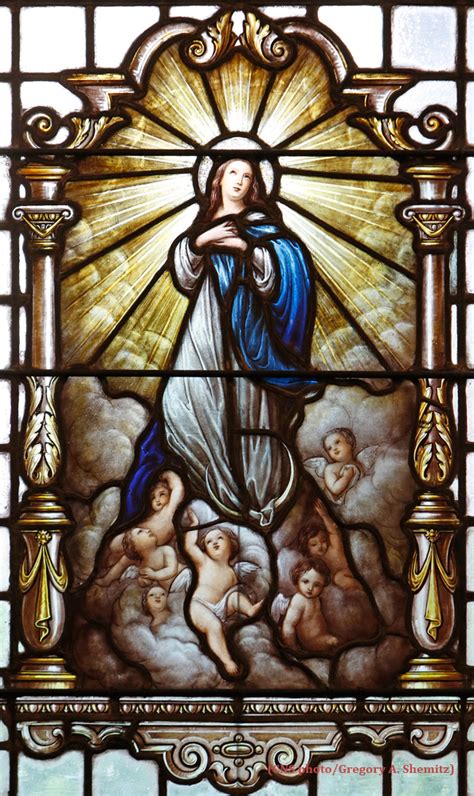 Solemnity Of The Assumption Of The Blessed Virgin Mary Roman Catholic