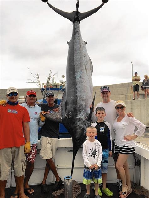 Florida Fisherman Wins Blue Marlin World Cup Sun Sentinel
