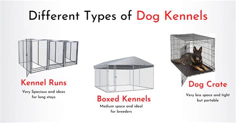 5 Best Outdoor Dog Kennels For German Shepherds