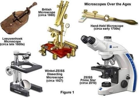 Development Of Microscopes All Over The Years Microscopic Microscope