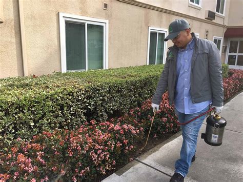 We conduct a thorough inspection of your home to identify any pests on your property and the potential for future infestations. Pest Solutions Termite & Pest Control in Los Angeles, CA