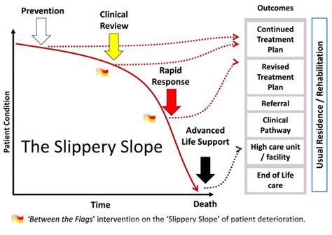 Flow Charts Clinical Excellence Commission