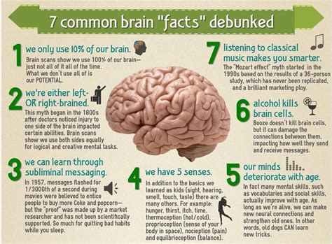 A Poster With Instructions On How To Use The Brain