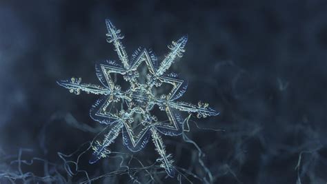 Video Shows How Snowflakes Form Cbs News