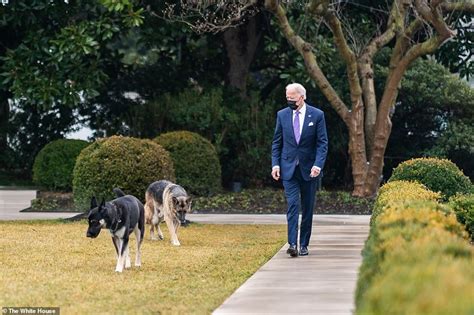 Tổng thống joe biden trong buổi họp báo chính thức đầu tiên. "Mục sở thị" cuộc sống của Tổng thống Joe Biden ở Nhà ...
