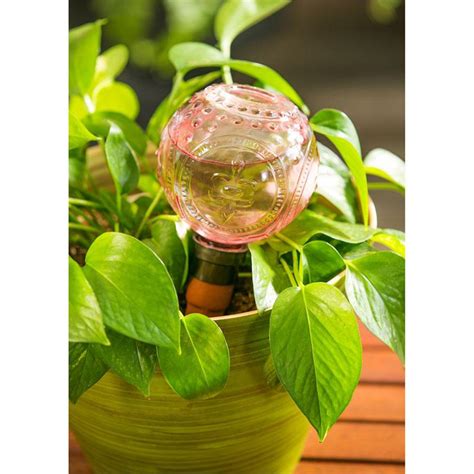 Embossed Glass Plant Watering Globe With Terracotta Spike