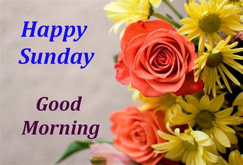 Top 10 Good Morning Happy Sunday Images Greetings Pictures Whatsapp