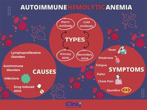 autoimmune hemolytic anemia types causes symptoms diagnosis treatment hot sex picture