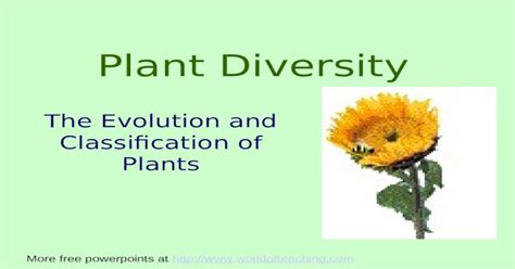 Plant Diversity The Evolution And Classification Of Plants More Free