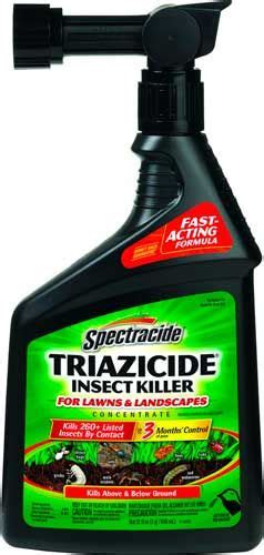 How to get rid of moles. How to get rid of mole crickets: Best mole killers ...