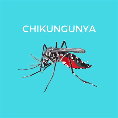Mombasa County Kenya Battling Chikungunya Virus News From Africa