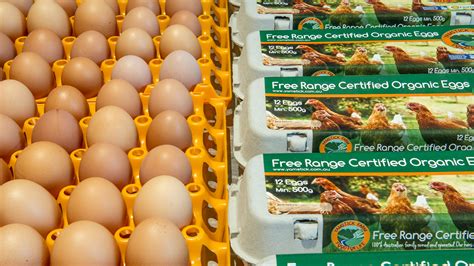 Free Range Certified Organic Eggs Certified Organic Eggs Mid North