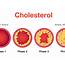 Blood Cholesterol  Know Diabetes