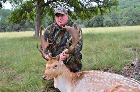 Fallow Deer Hunting Ranch In Texas Hill Country