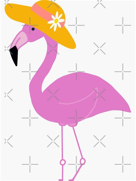 Pink Flamingo Wearing Hat Sticker By Tanujasharma Redbubble