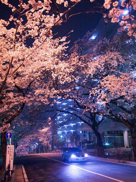Pastel pink aesthetic background wwwpicsbudcom. 𝐀𝐞𝐬𝐭𝐡𝐞𝐭𝐢𝐜𝐬‏ 🪐 on Twitter in 2020 | Background, Scenery, Aesthetic korea
