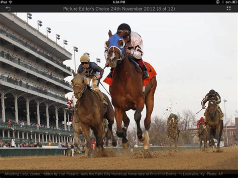 Race Horse Galloping Past By Thegeforce On Deviantart