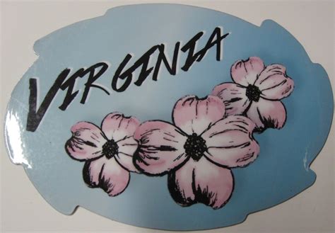 Usually, they are bright white and they can grow to. Virginia State Flower Magnet