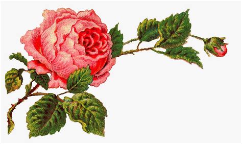 Rose Bouquet Clipart Free Download On Clipartmag