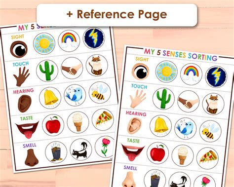 My 5 Senses Sorting Game Preschool Printable Busy Book Etsy