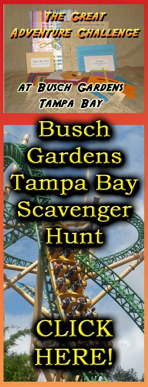 10 Birthday Ideas At Busch Gardens Tampa Bay