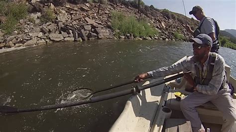 Fly Fishing The Colorado River Youtube